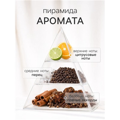 Наполнитель для ароматического диффузора XO The Accent, 100 мл