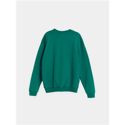 СВИТШОТ МУЖСКОЙ 121801/1