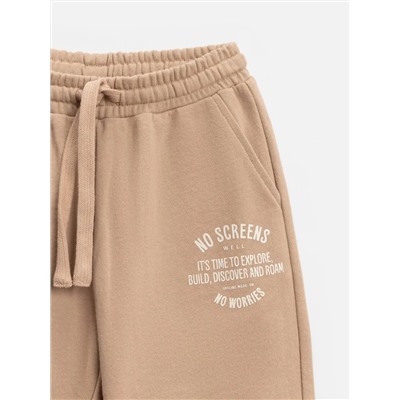 Acoola Брюки 20120460144