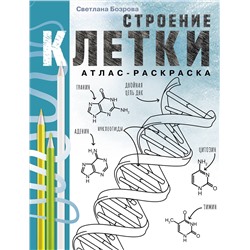 АСТ Светлана Бозрова "Строение клетки. Атлас-раскраска"