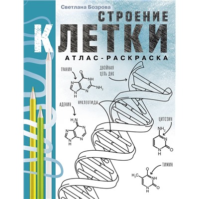 АСТ Светлана Бозрова "Строение клетки. Атлас-раскраска"