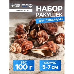 Набор ракушек, 5 - 7 см, 100 г