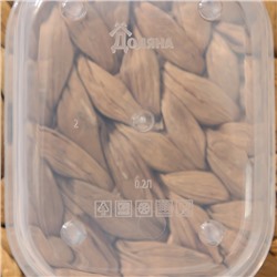 Набор контейнеров для хранения еды Доляна, прямоугольные, 3 шт. 150 мл, 500 мл, 1.2 л, пластик, зелёный