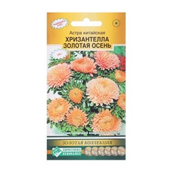Семена цветов астра китайская «Хризантелла Золотая Осень», 5 шт.