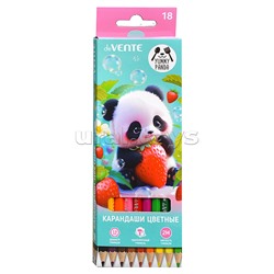 Карандаши цветные 18 цв. "Yummy Panda" 2М, диаметр грифеля 2,8 мм, шестигранные, в картонной коробке