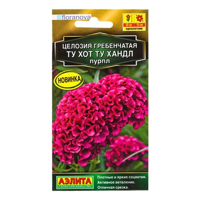 Семена цветов Целозия гребенчатая Ту хот ту хандл пурпл  С. Floranova Золотая серия, Ц/П,5 шт. 10945