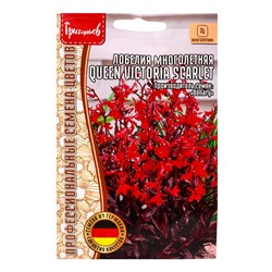 Семена цветов Лобелия Queen Victoria Scarlet многолетняя 5драже 12.29 г.