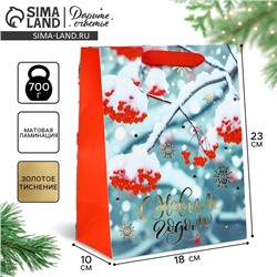 Пакет подарочный новогодний ламинированный «С Новым годом», MS 23×18×10 см
