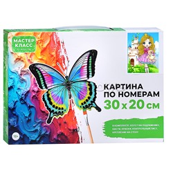Набор для рисования "Картина по номерам 30х20 см. Принцесса"