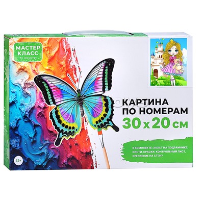 Набор для рисования "Картина по номерам 30х20 см. Принцесса"