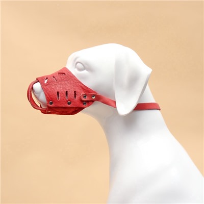 Намордник регулируемый из мягкой кожи, размер № 5, ДН 7-11 см, ОМ 25-28 см, коричневый