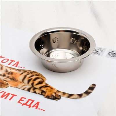 Коврик под миску «Не проста жизнь кота», 43×28 см