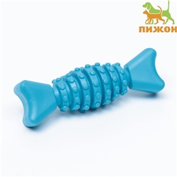 Жевательная игрушка для собак «Конфетка», 12 см, TPR, голубая
