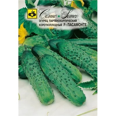 Огурец Пасамонте F1 (С)