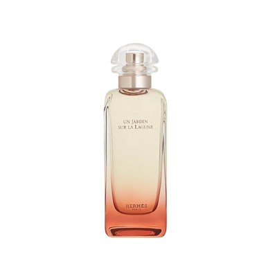 HERMES UN JARDIN SUR LA LAGUNE edt 100ml TESTER