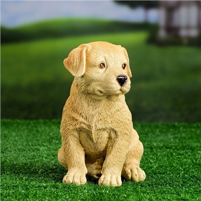 Садовая фигура из полистоуна «Щенок лабрадора», 17×12×20 см