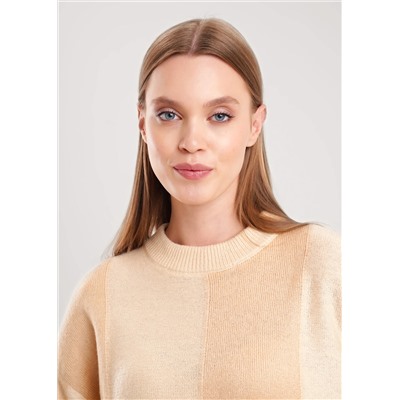 CLEVER Джемпер 154581/190апш