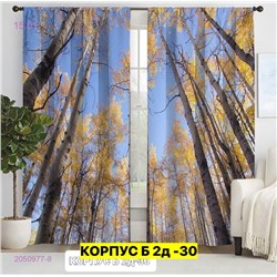 Фотошторы 3д 2050977-8