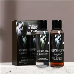 Подарочный набор новогодний мужской «Успехов в году»: гель для душа и шампунь для волос, 2×100 мл, Чистое счастье