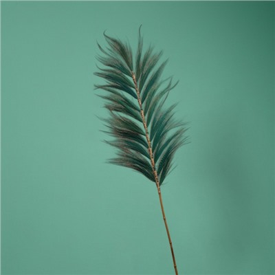 Сухоцвет на бамбуковом стебле, 250 см, зелёный