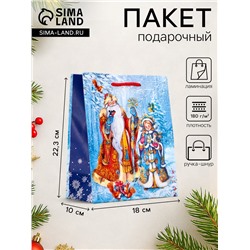 Пакет подарочный новогодний ламинированный, «Дед Мороз и Снегурочка», 18×10×22.3 см