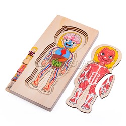 Пазл-вкладыш "Девочка"