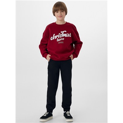 СВИТШОТ ДЛЯ МАЛЬЧИКОВ 123437/1