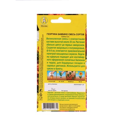 Набор семян цветов Георгина, махровая, низкорослая