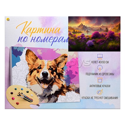 Холст с красками 40х50 по номерам "Волшебные поля в горах" (в коробке) (30цв.)