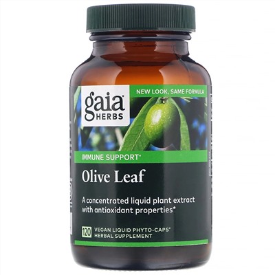 Gaia Herbs, Лист оливы, 120 веганских фито-капсул с жидкостью