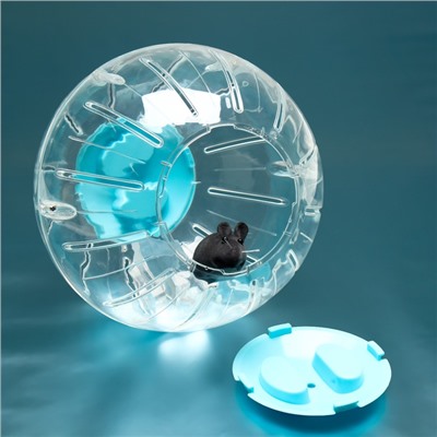 Шар для грызунов Carno, 18.5 см, синий