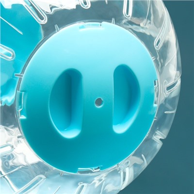 Шар для грызунов Carno, 18.5 см, синий