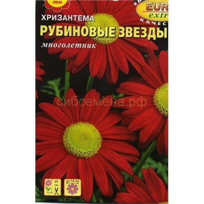 Хризантема Рубиновые звезды (Аэлита)