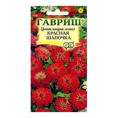 Цинния Красная шапочка лилипут (Гавр)