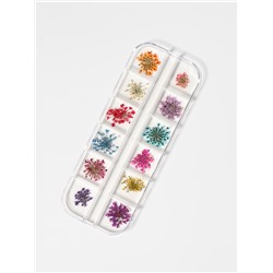 Сухоцветы для декора, 12 видов, в футляре, разноцветные