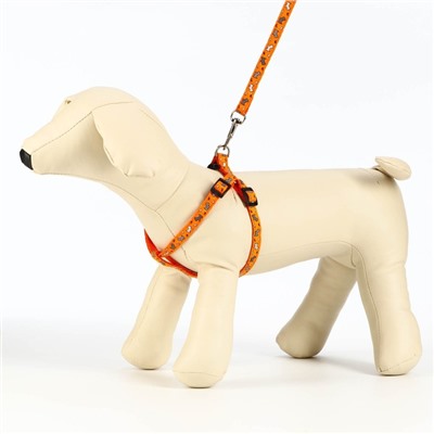 Комплект «Собачки», ширина 1 см, поводок 1.2 м, шлейка 23-35 см, оранжевый