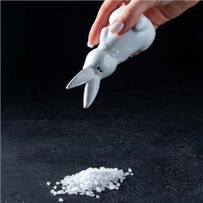 Набор для специй Доляна «Зайка», солонка 50 мл, перечница 50 мл, доломит, белый