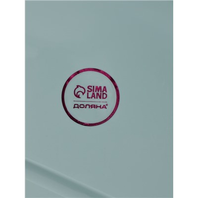 Щётки для уборки Доляна, 4 предмета: совок, 3 щётки, 30×21×12 см, голубые