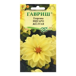 Семена Георгина "Фигаро", ц/п,  желтая 7 шт.