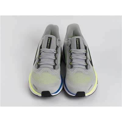 Кроссовки Nike Air Zoom Pegasus 41