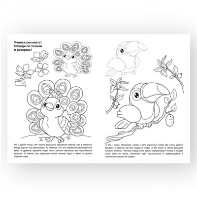 Раскраска А4 8 стр. "Птицы" от 4 лет РКМ08-ПТ Каляка-Маляка