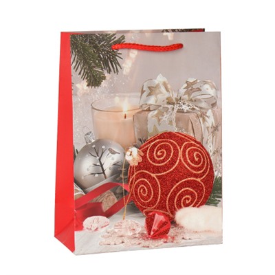 Пакет подарочный 18х24х8.5 / 362-106-S /уп 12/720/Новый год