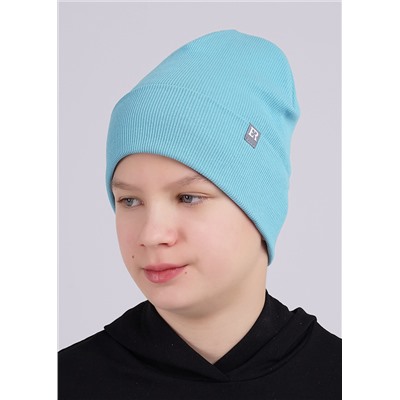CLEVER Шапка