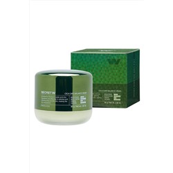 Enough Крем для лица с экстрактом центеллы азиатской / Secret With Cica Care Balance Cream, 80 г KRISTALLER, 1110791