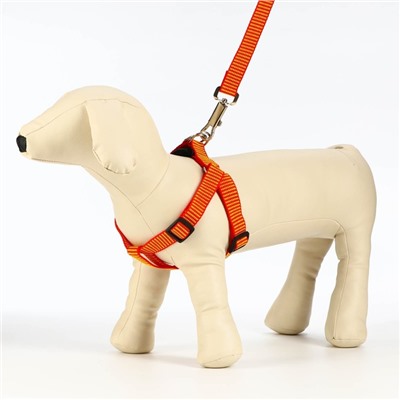 Комплект амуниции рельефный, 2 см, поводок 120 см, красно-жёлтый