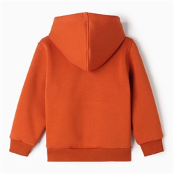 Толстовка детская, рост 134 см, коричневая