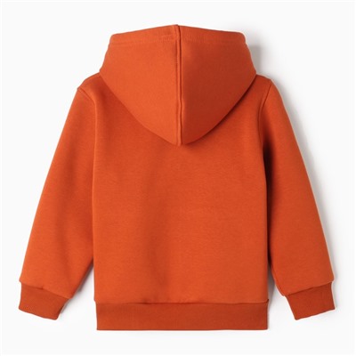 Толстовка детская, рост 134 см, коричневая