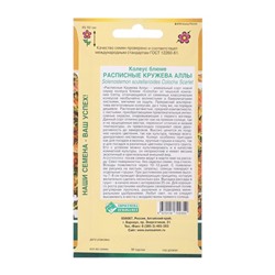 Семена Колеус блюме  "Кружева Аллы",  10 шт