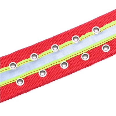 Ошейник четырехслойный светоотражающий с вертлюгом, 65×4 см, красный