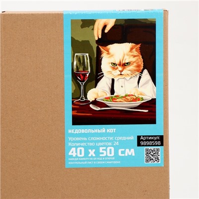 Картина по номерам на холсте с подрамником «Недовольный кот» 40×50 см